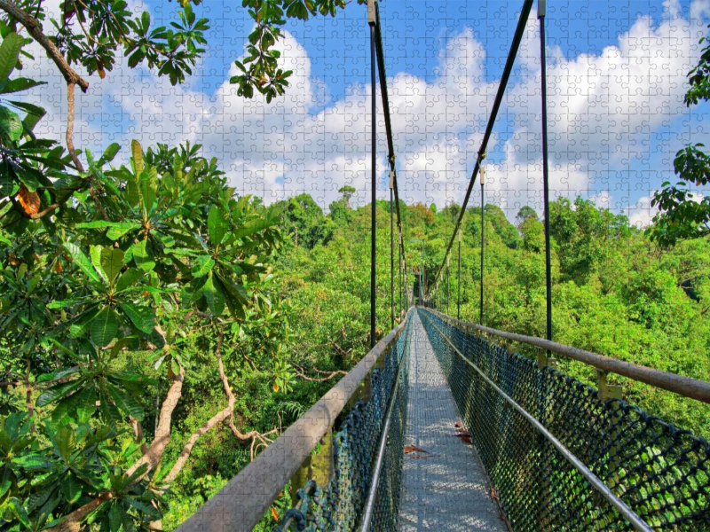 Macritchie Treetop Walk, Singapur