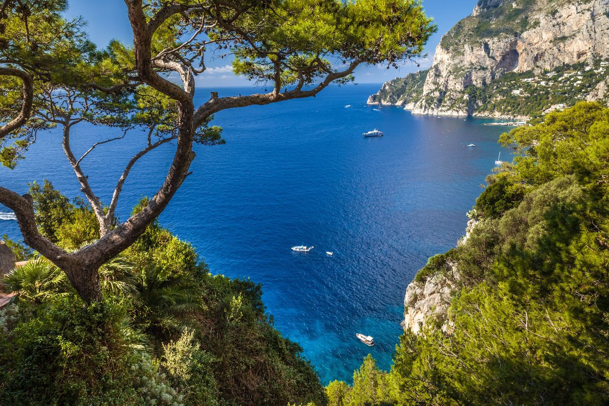 Blick zum Punta de Masullo, Capri