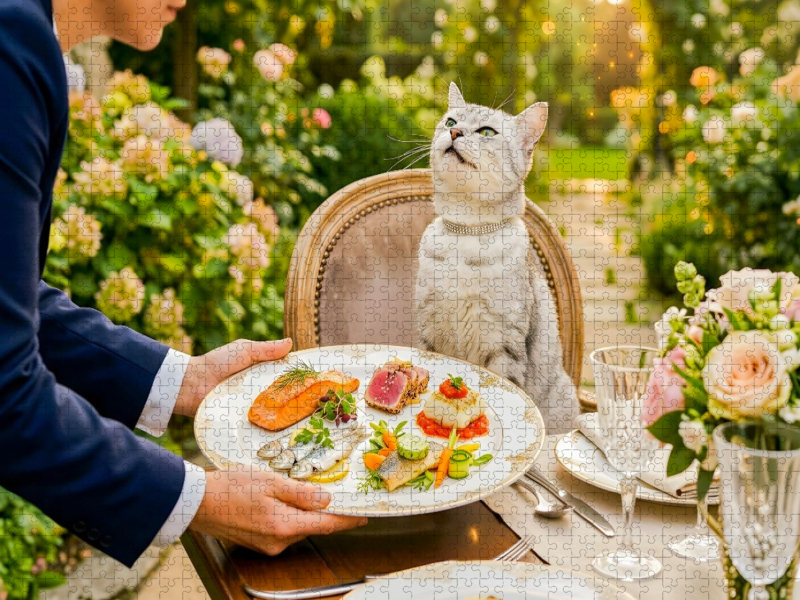 Katze am Gartentisch mit edlem Service luxuriöser Fischhäppchen