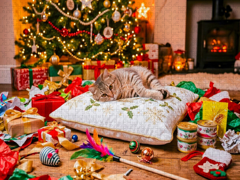 Graugetigerte Katze entspannt auf Weihnachtskissen zwischen festlichen Spielzeuggeschenken