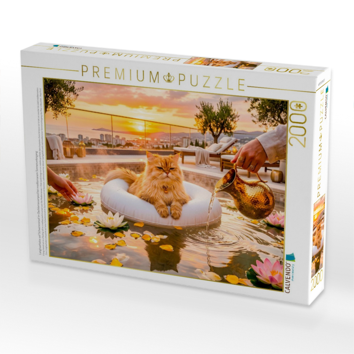 Langhaarkatze auf Schwimminsel im Dachterrassenpool bei mediterranem Sonnenuntergang