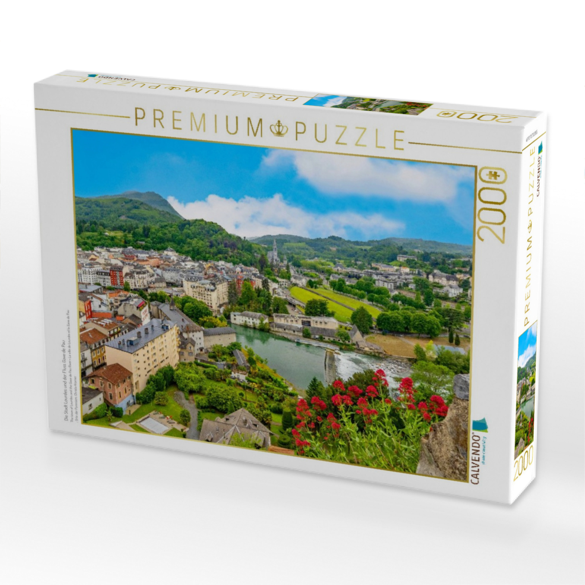 Die Stadt Lourdes und der Fluss Gave de Pau
