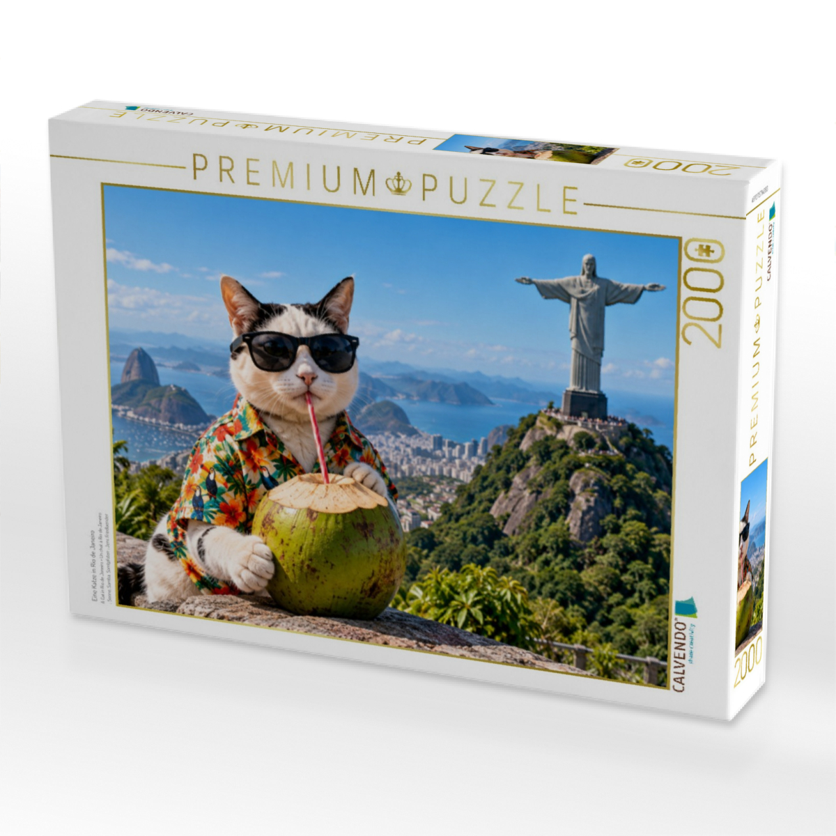 Eine Katze in Rio de Janeiro
