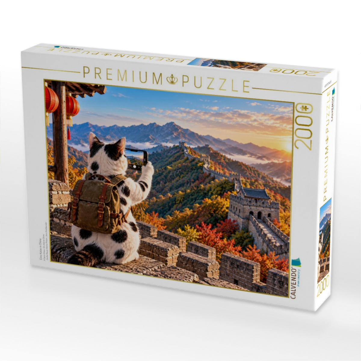 Eine Katze in China