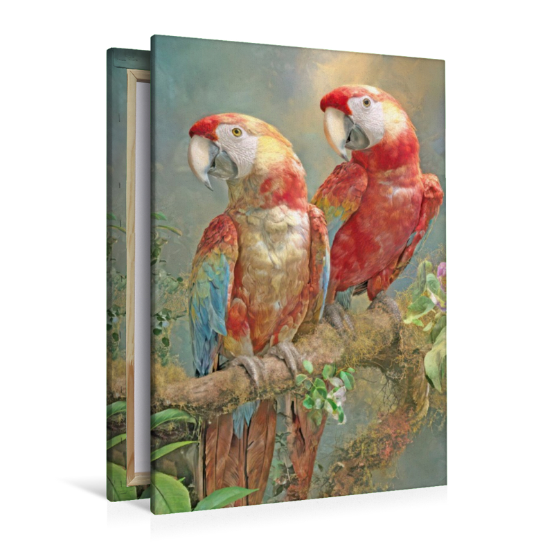 Vögel in ihrer Schönheit - Illustrationen