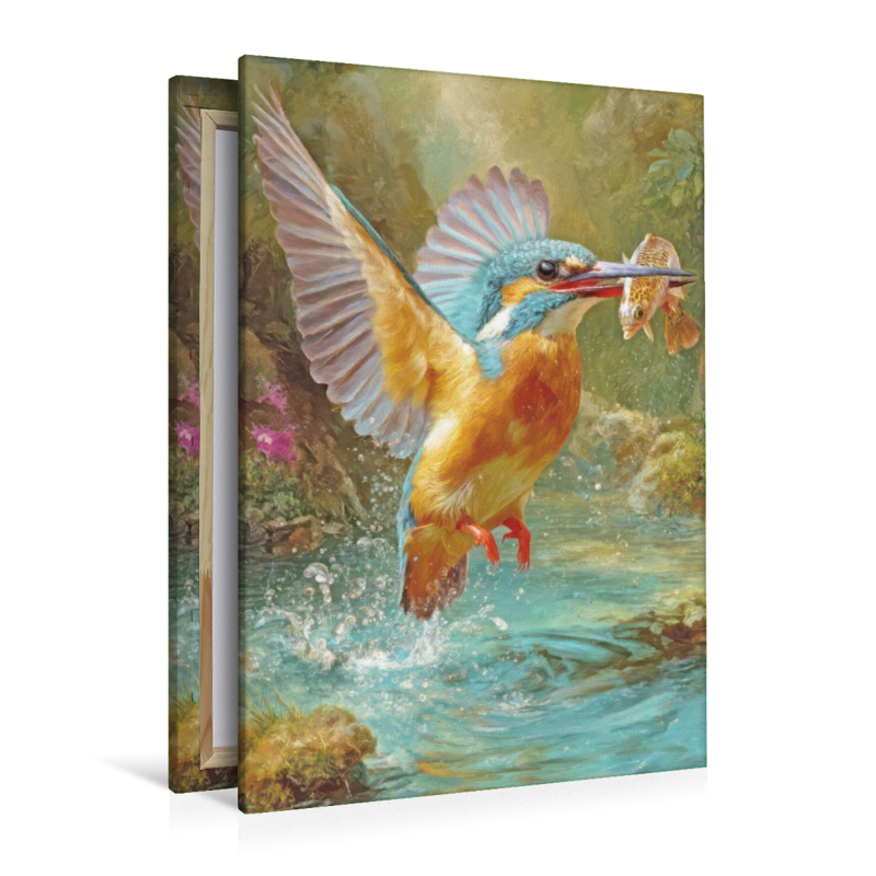 Vögel in ihrer Schönheit - Illustrationen