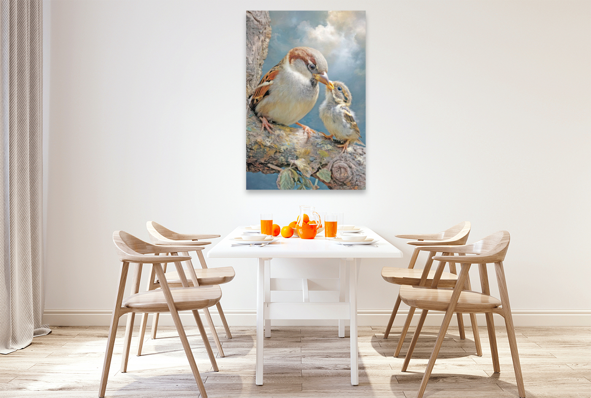 Vögel in ihrer Schönheit - Illustrationen