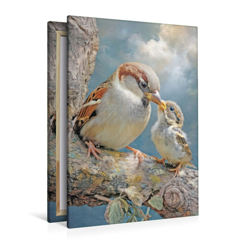 Vögel in ihrer Schönheit - Illustrationen