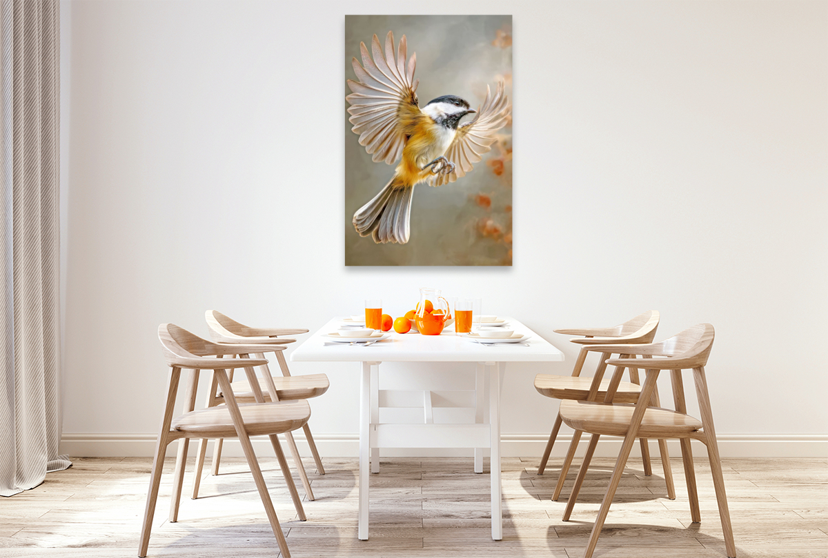 Vögel in ihrer Schönheit - Illustrationen
