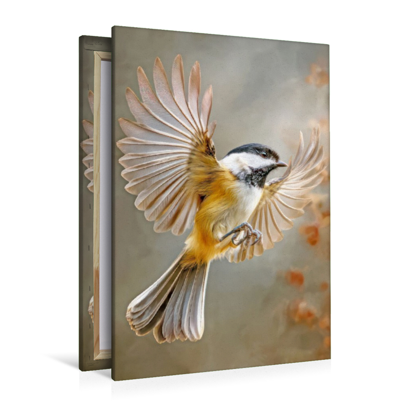 Vögel in ihrer Schönheit - Illustrationen