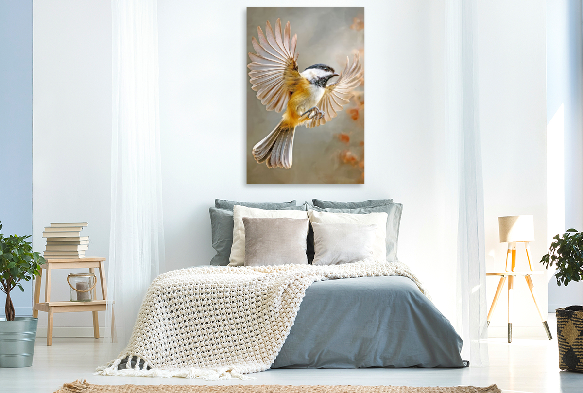 Vögel in ihrer Schönheit - Illustrationen