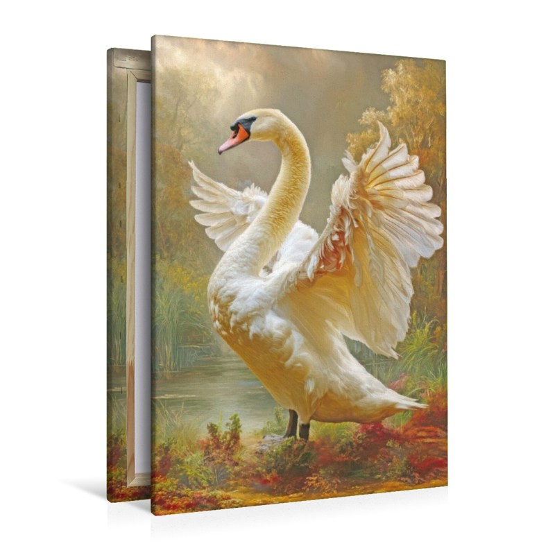 Vögel in ihrer Schönheit - Illustrationen
