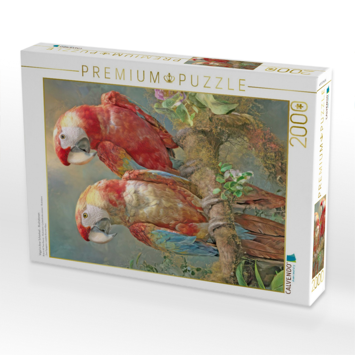 Vögel in ihrer Schönheit - Illustrationen