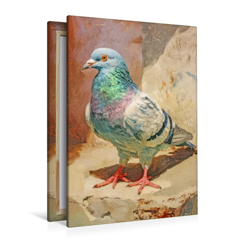 Vögel in ihrer Schönheit - Illustrationen