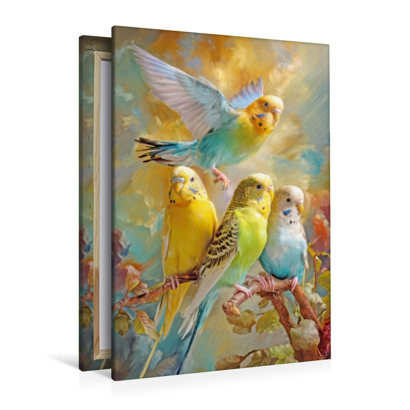 Vögel in ihrer Schönheit - Illustrationen