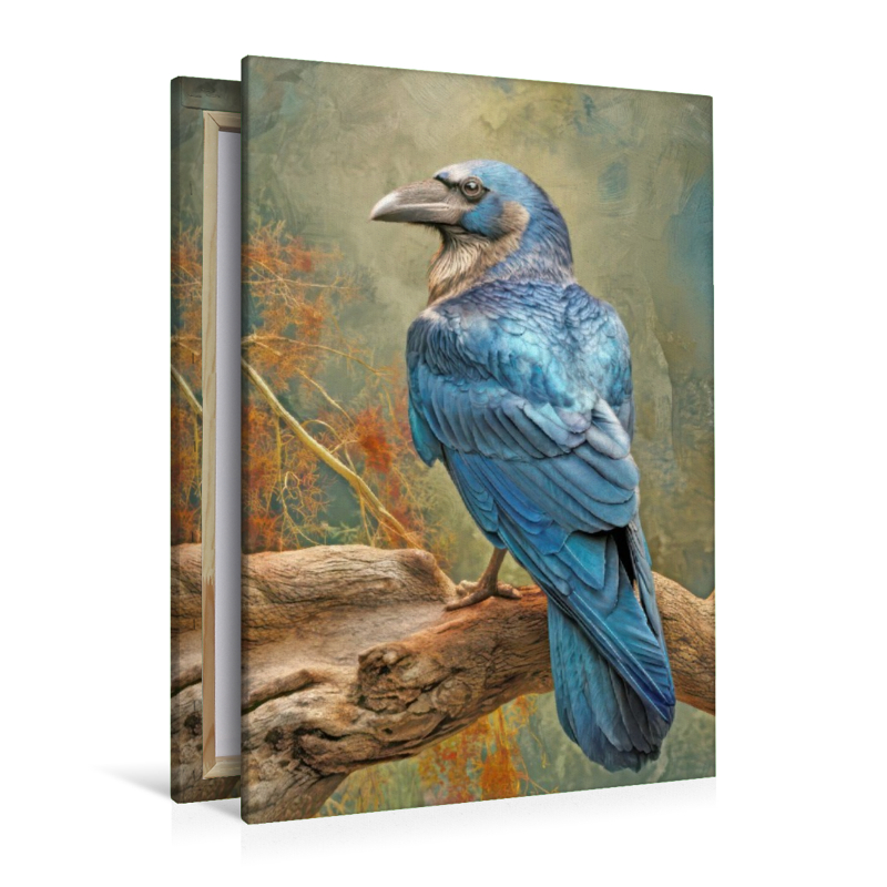 Vögel in ihrer Schönheit - Illustrationen