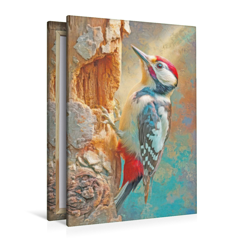 Vögel in ihrer Schönheit - Illustrationen