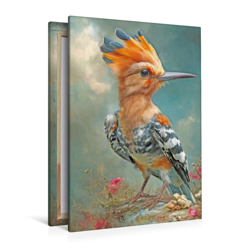 Vögel in ihrer Schönheit - Illustrationen