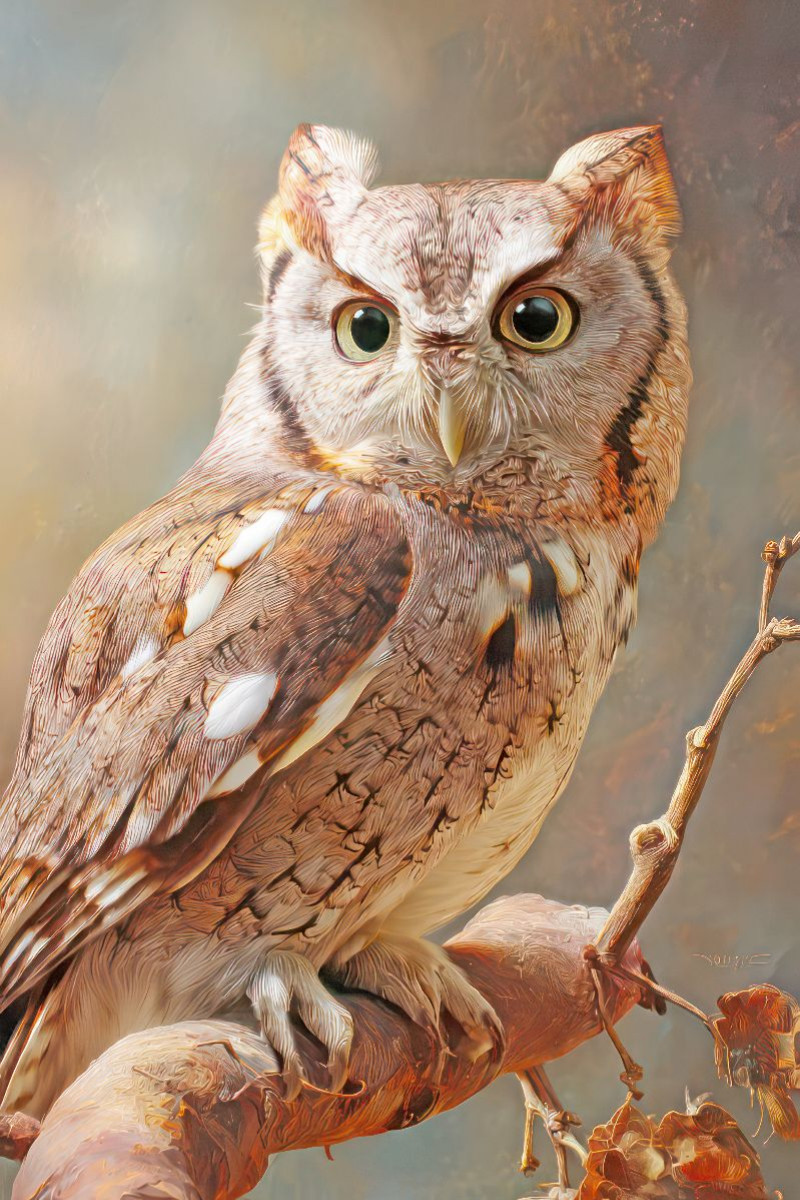 Vögel in ihrer Schönheit - Illustrationen