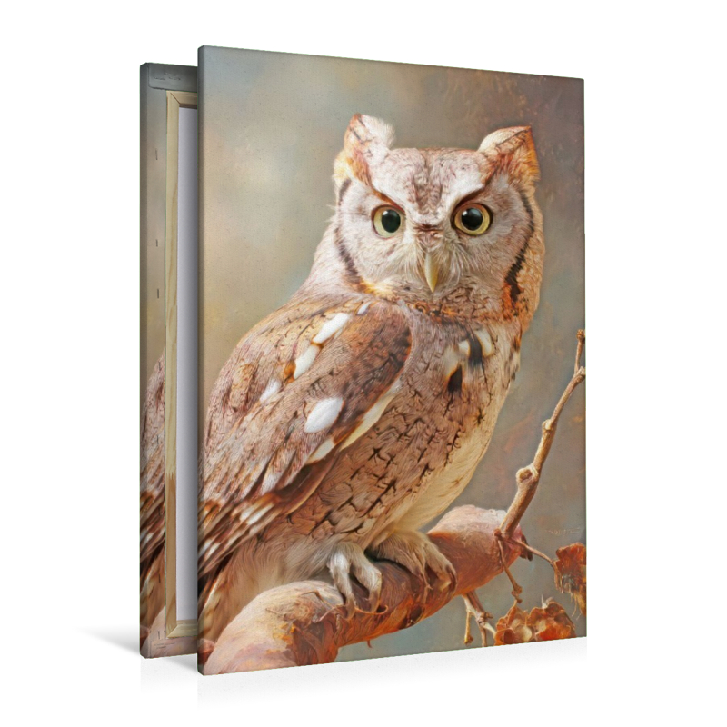 Vögel in ihrer Schönheit - Illustrationen