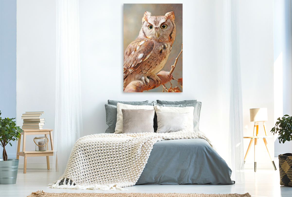 Vögel in ihrer Schönheit - Illustrationen