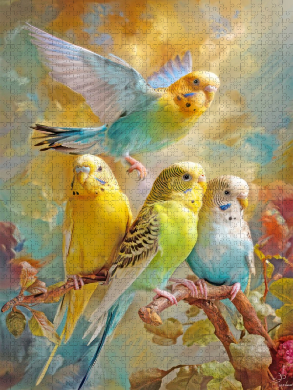 Vögel in ihrer Schönheit - Illustrationen