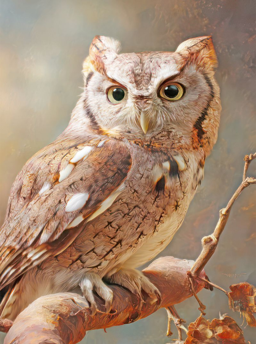 Vögel in ihrer Schönheit - Illustrationen