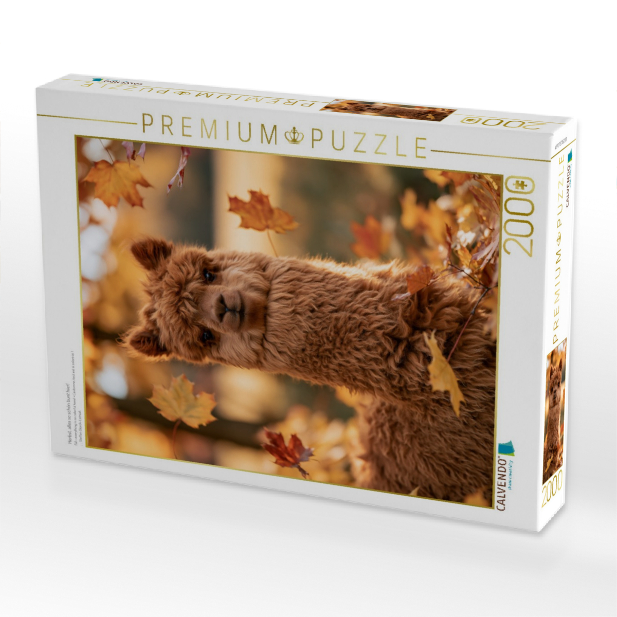 Herbst, alles so schön bunt hier!