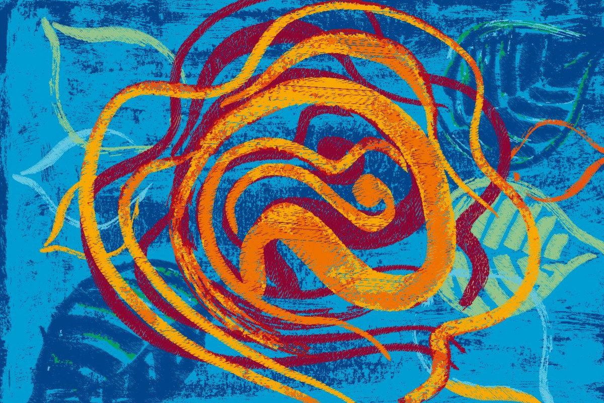 Eine ART Rosen N°10