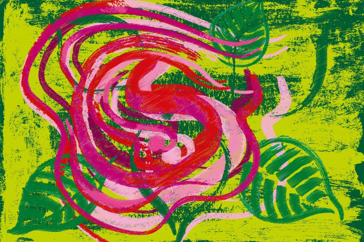 Eine ART Rosen N°7