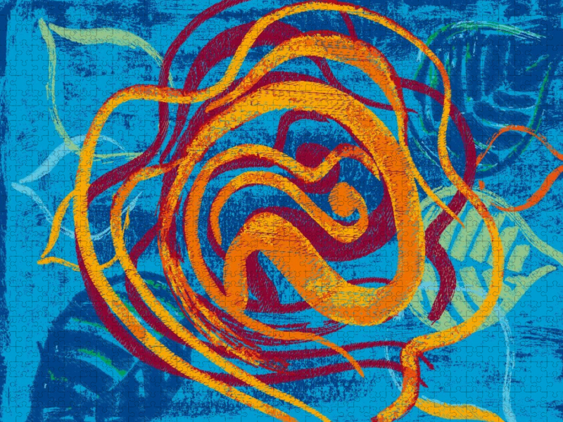 Eine ART Rosen N°10