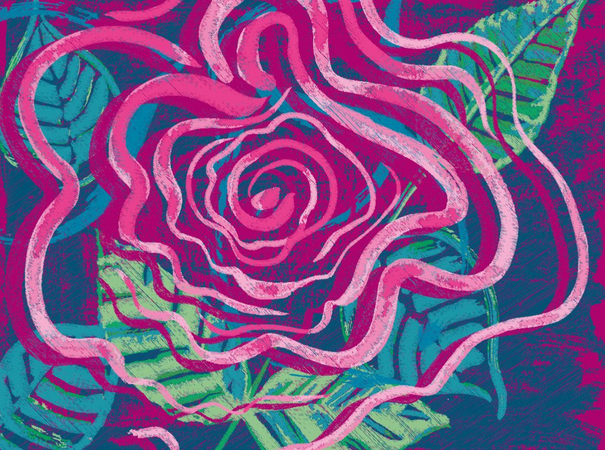 Eine ART Rosen N°8