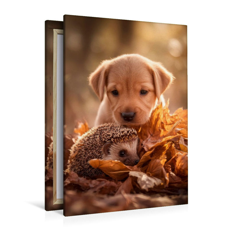 Igel und Welpe - Tierischer Herbstzauber
