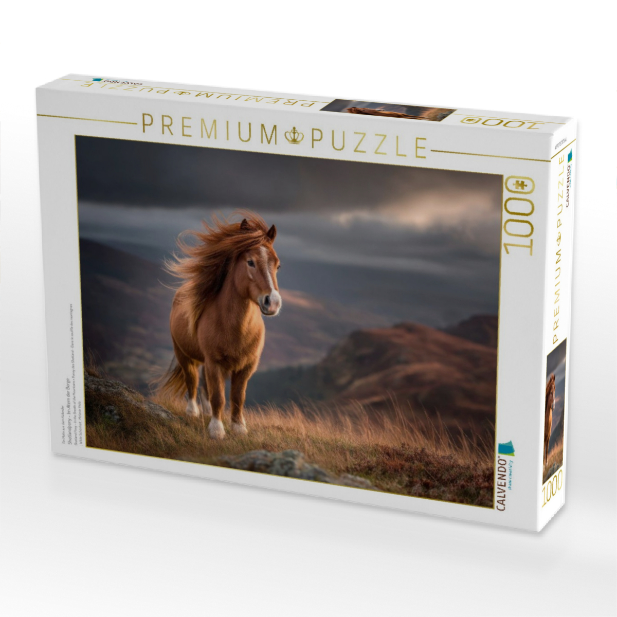 Shetlandpony - Im Atem der Berge