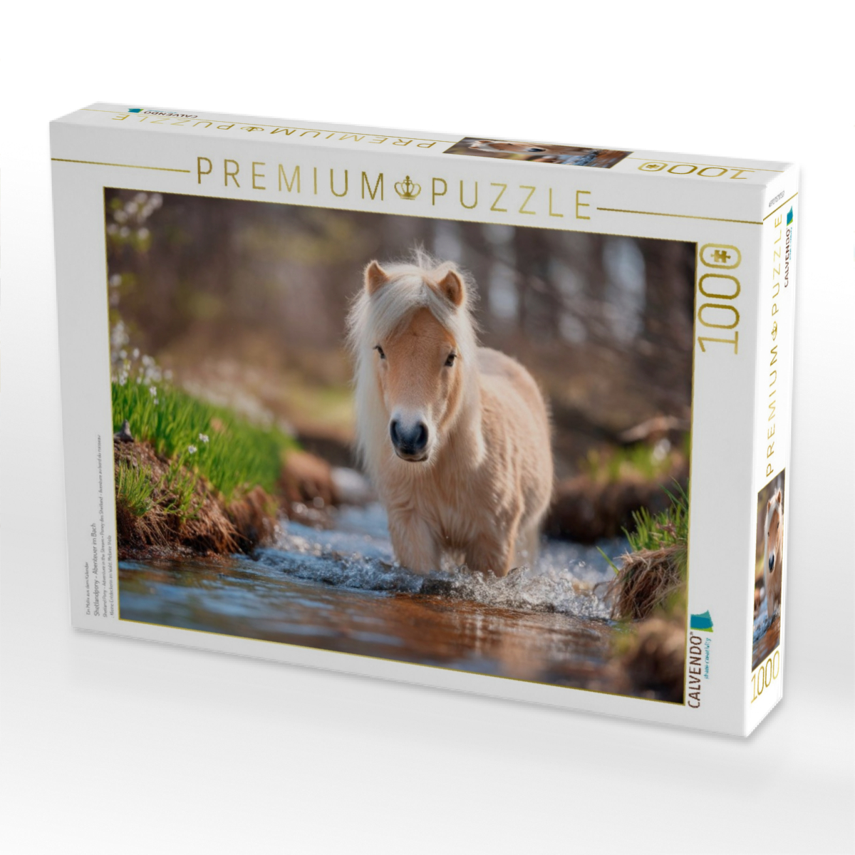 Shetlandpony - Abenteuer im Bach