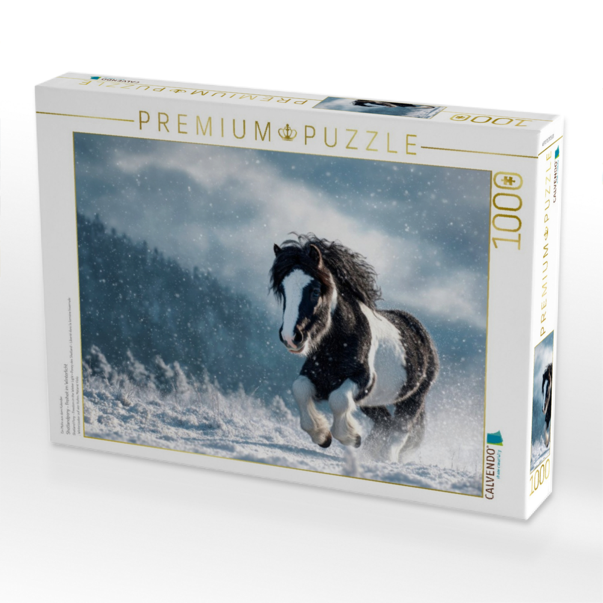 Shetlandpony - Freiheit im Winterlicht