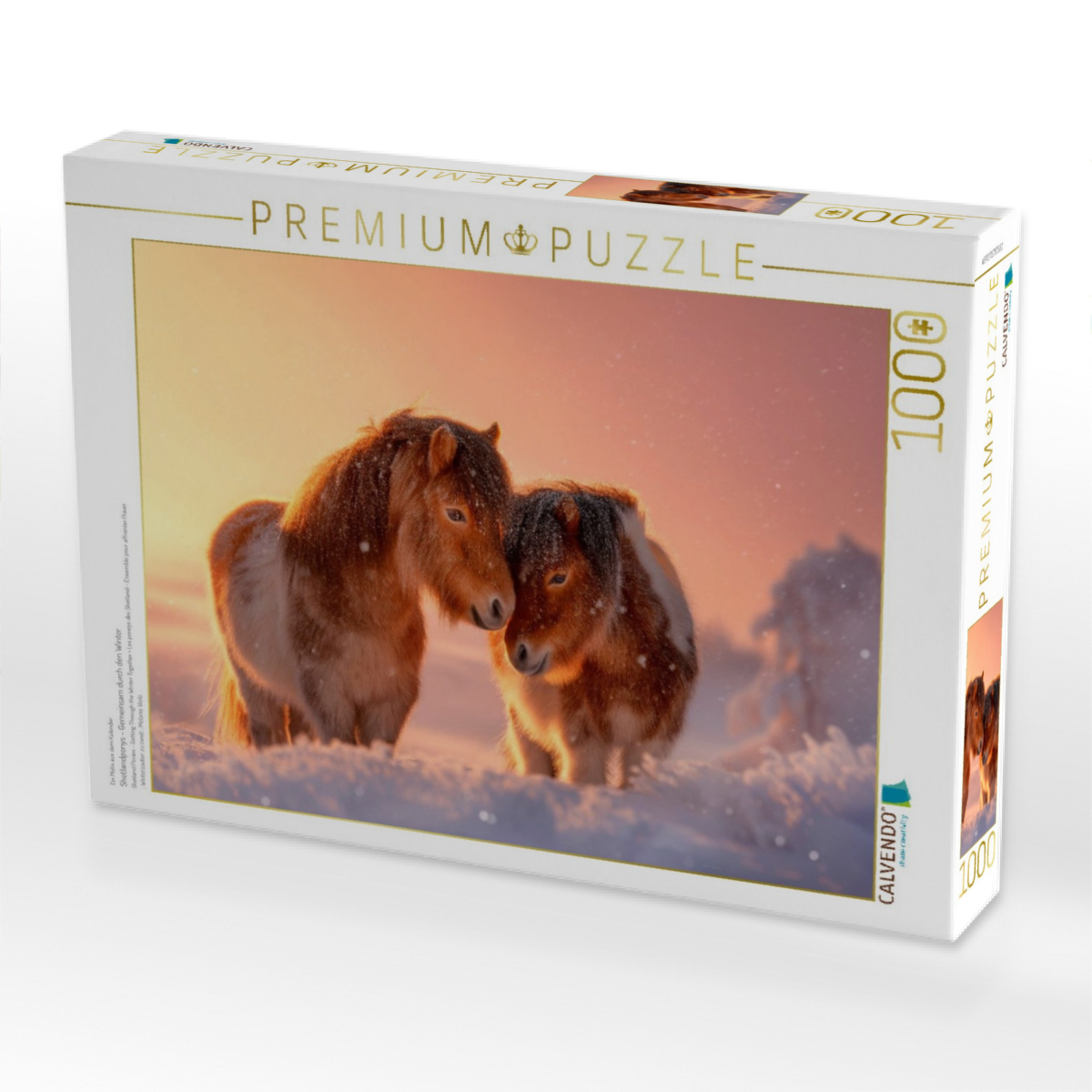 Shetlandponys - Gemeinsam durch den Winter
