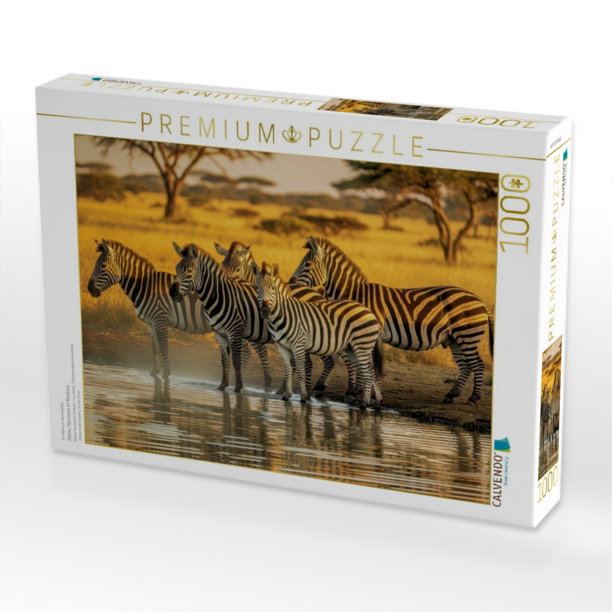 Zebras, Harmonie im Kontrast.