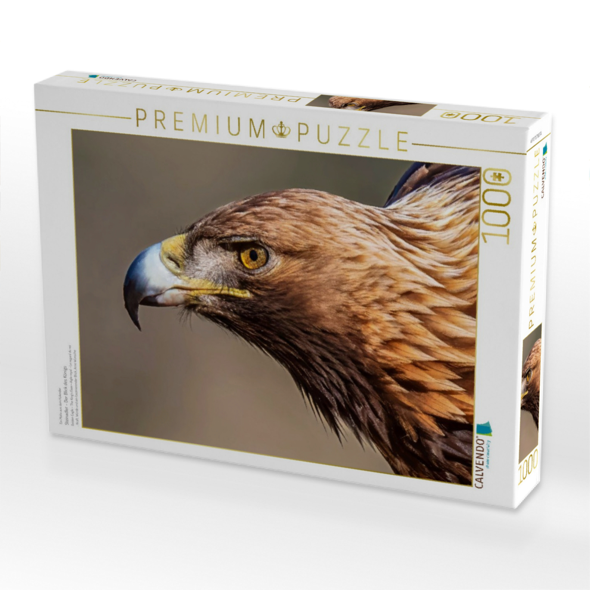 Steinadler – Der Blick des Königs