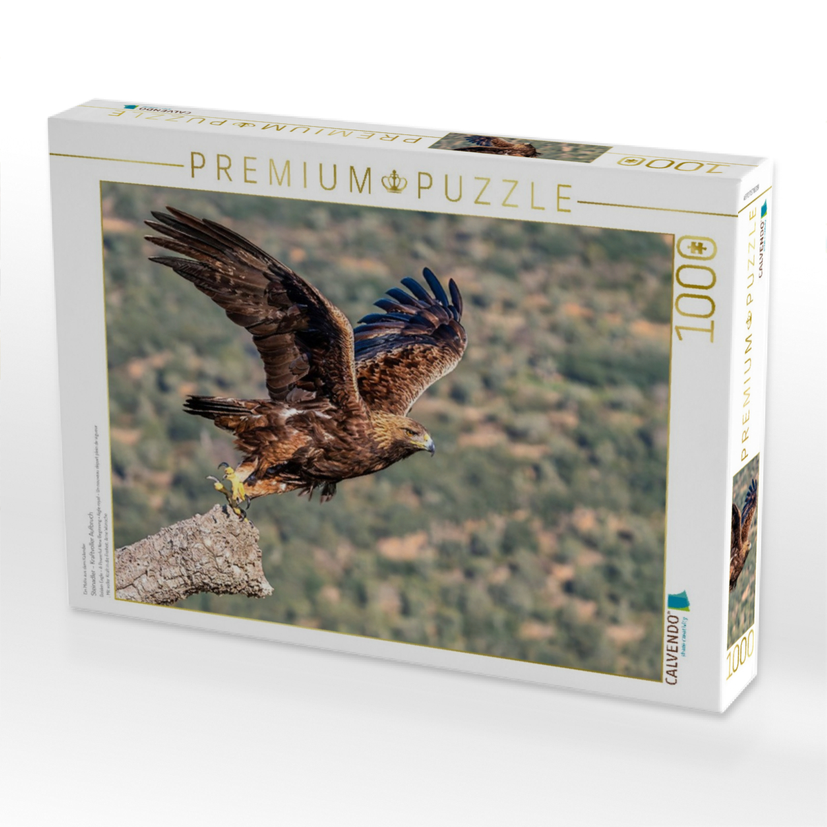 Steinadler – Kraftvoller Aufbruch