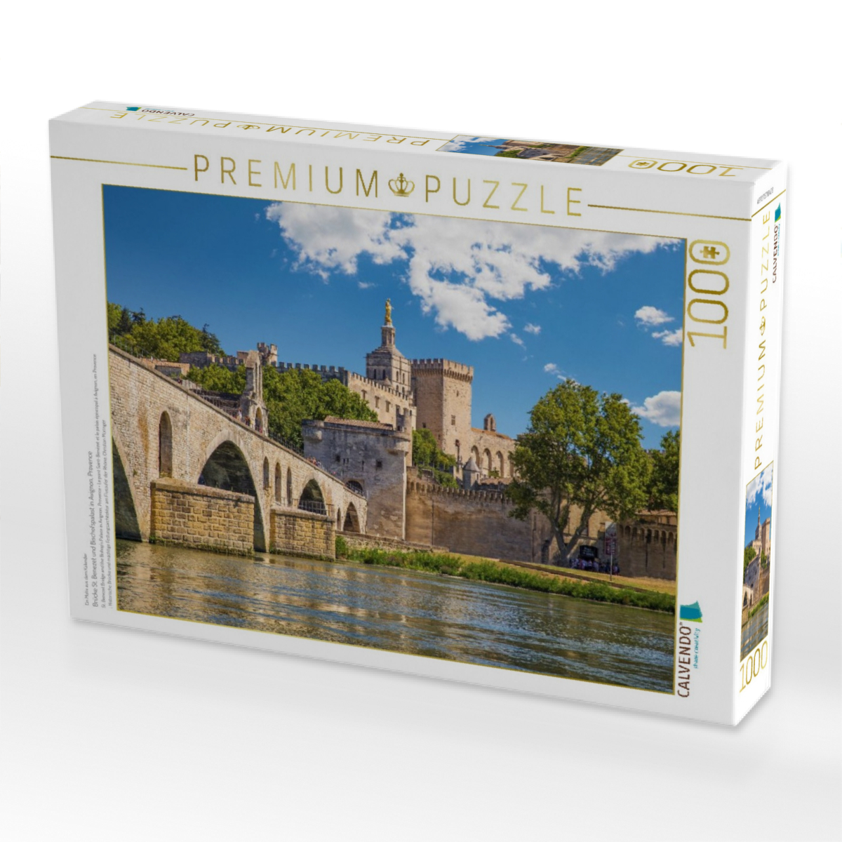 Brücke St. Benezet und Bischofspalast in Avignon, Provence