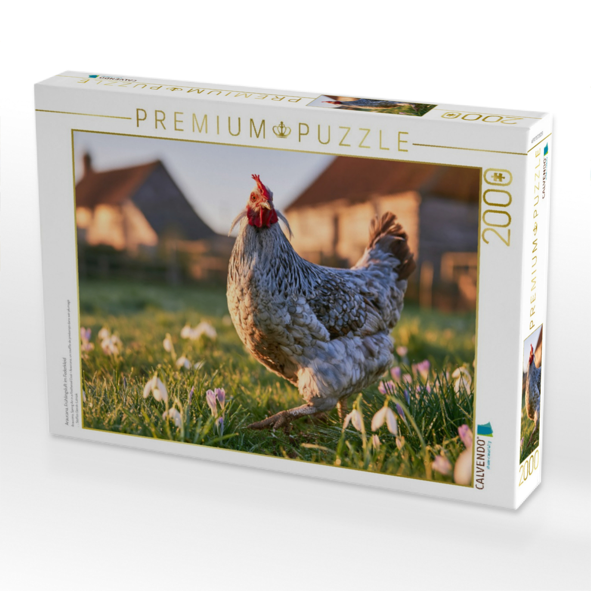 Araucana, Frühlingsluft im Federkleid