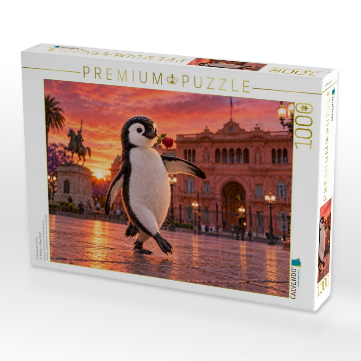Ein Pinguin in Argentinien