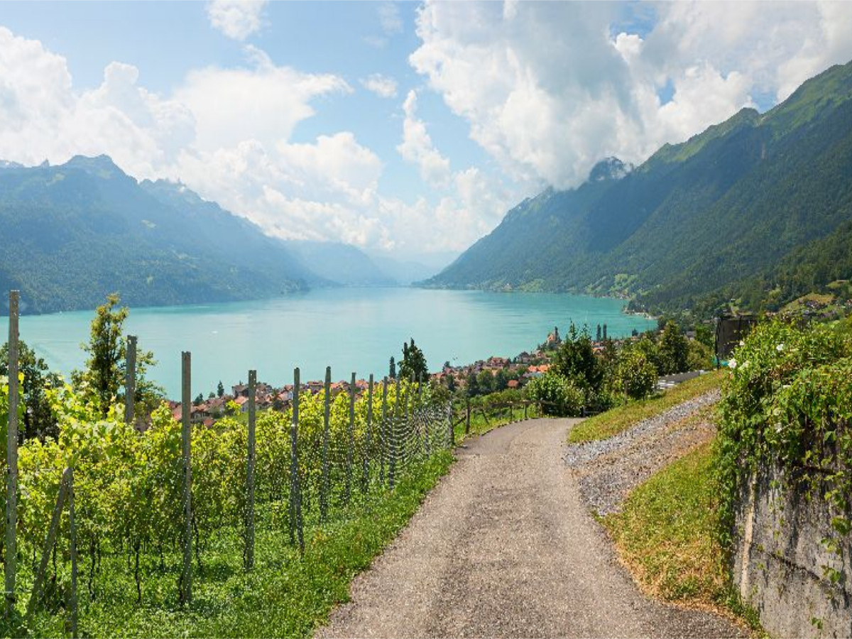 Wanderweg oberhalb Brienz