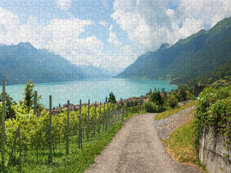 Wanderweg oberhalb Brienz