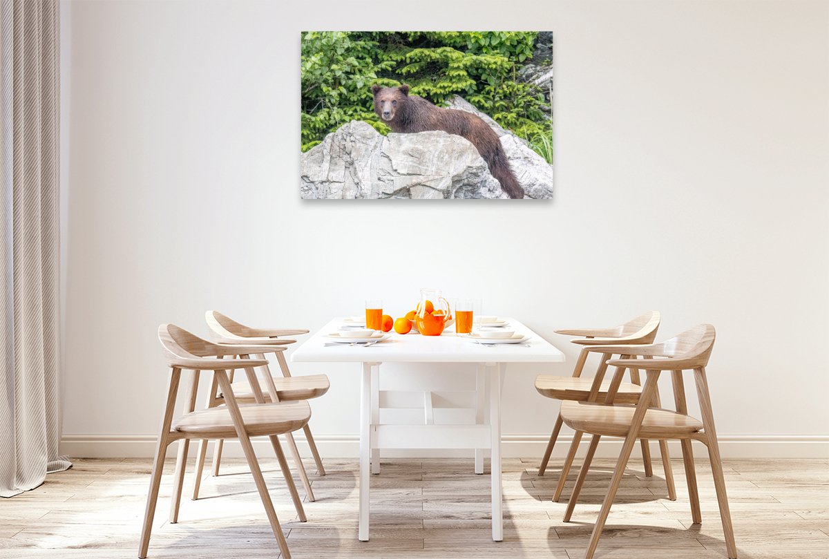 Bär vor dem grünen Wald