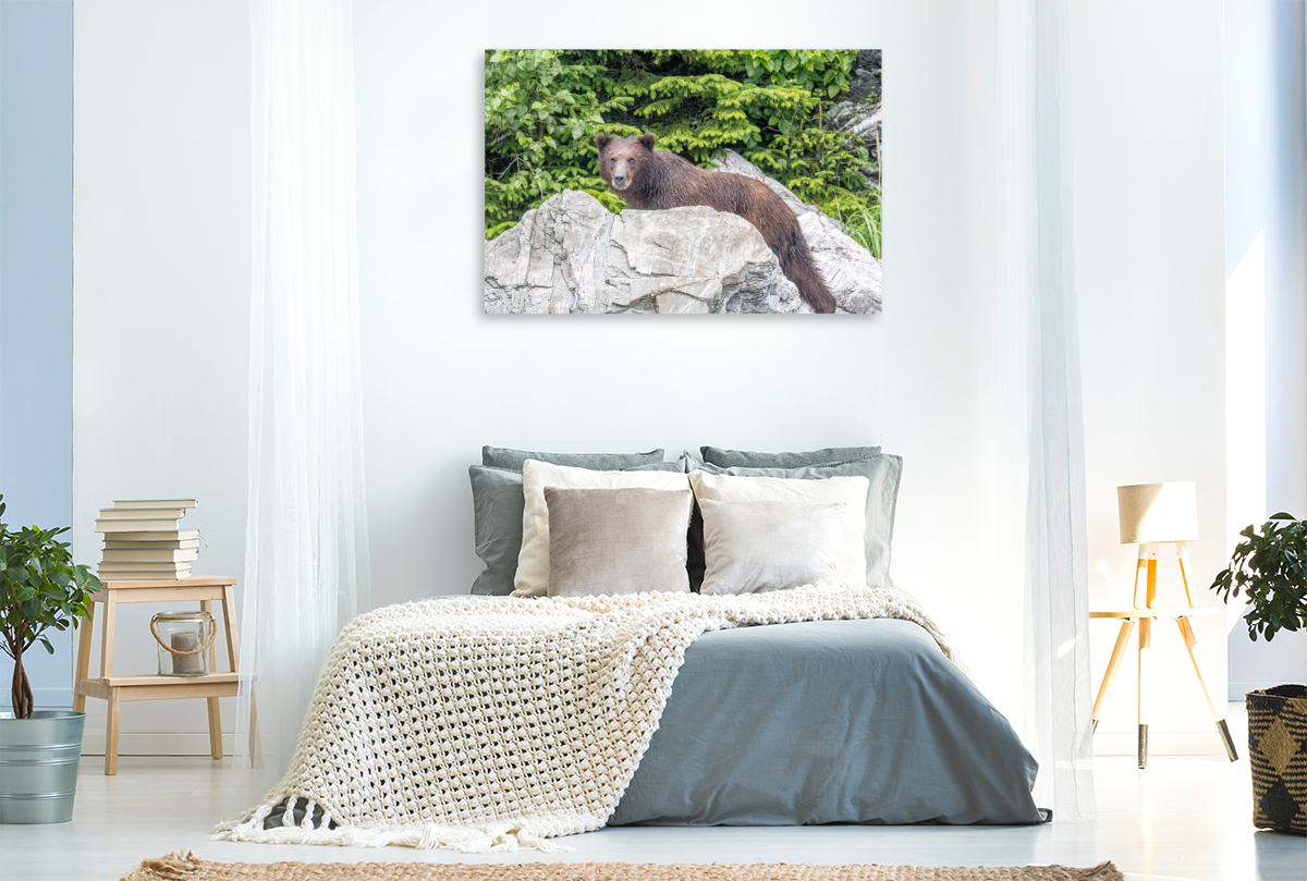 Bär vor dem grünen Wald