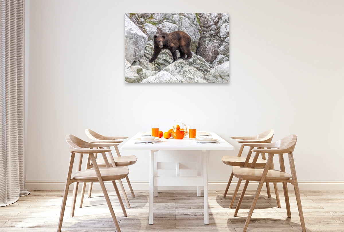 Bär in der Felslandschaft