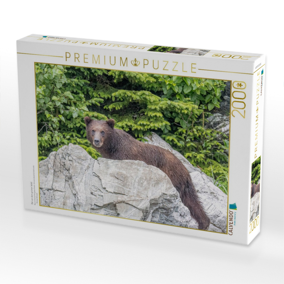 Bär vor dem grünen Wald