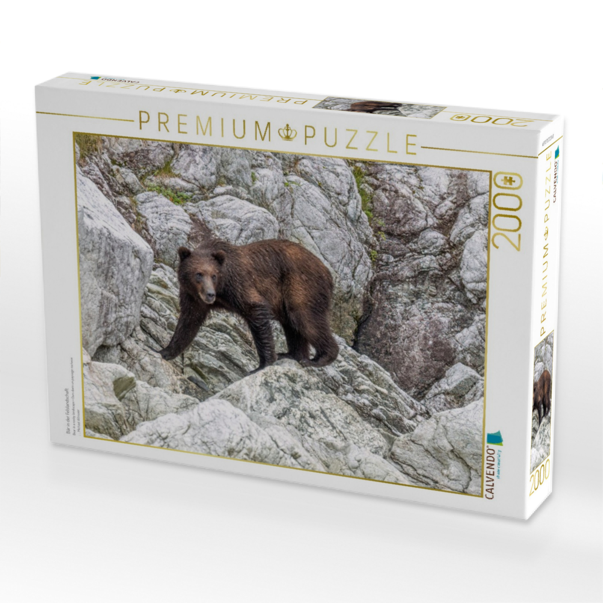 Bär in der Felslandschaft